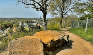 10de Streekwandeling Hagelandgidsen 2026: Testelt