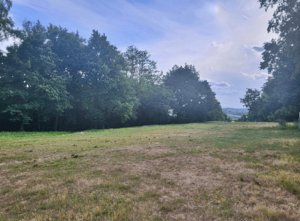 De Kesselberg ontsluierd: geschiedenis, natuur, verhalen en een vleugje magie
