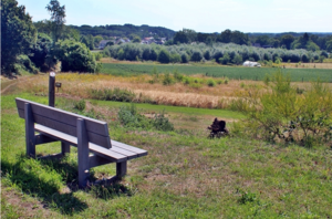 6de Streekwandeling Hagelandgidsen