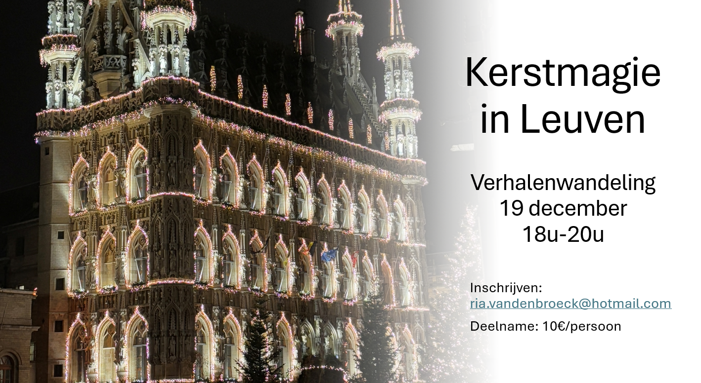 Kerstmagie in Leuven