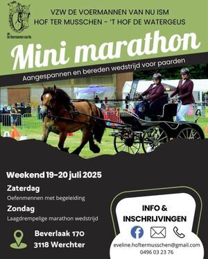Mini Marathon