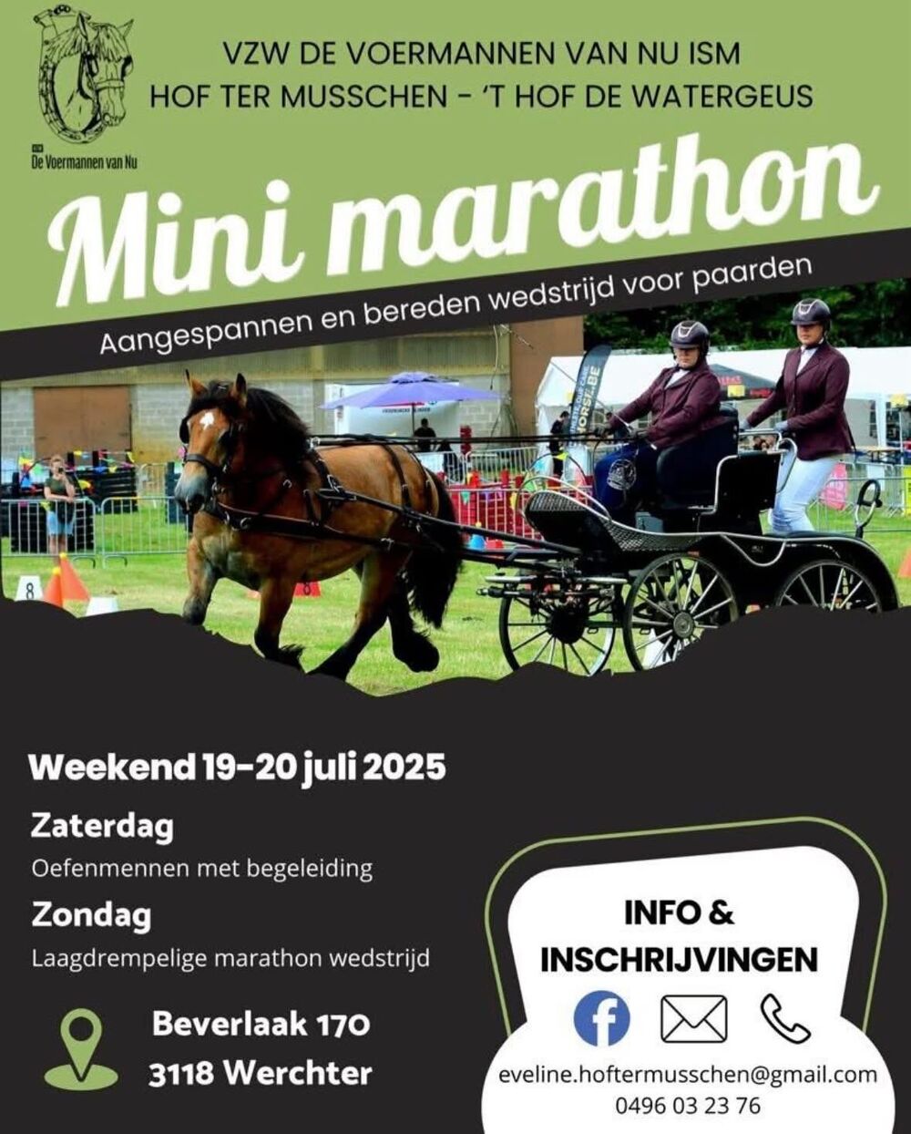Mini Marathon