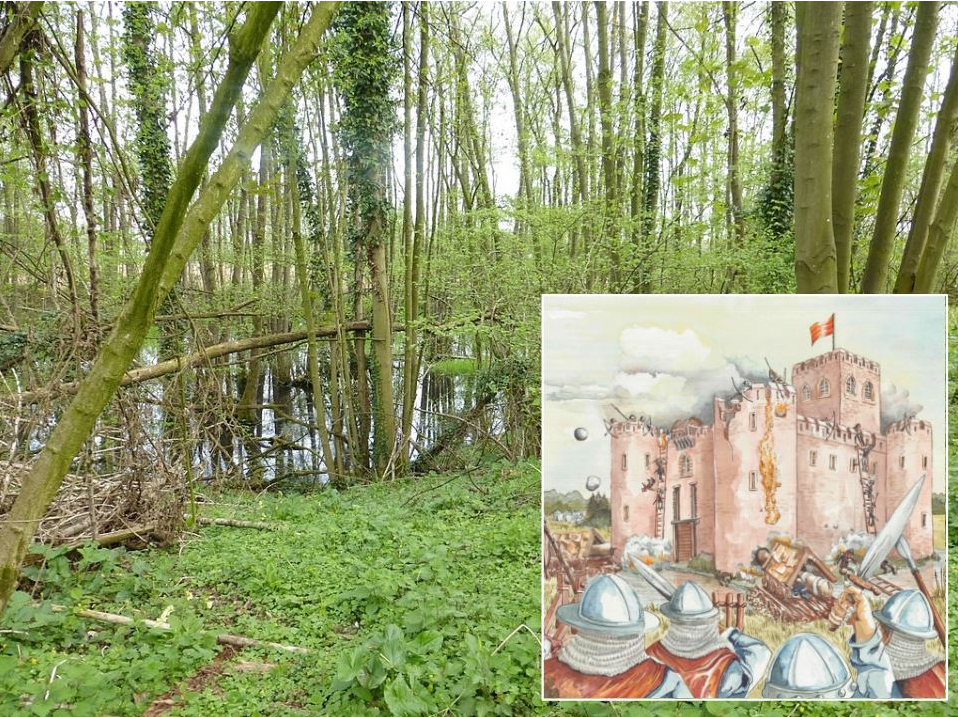 Het Warandebos (Geetbets). Hoe een dramatische geschiedenis het landschap vormde.