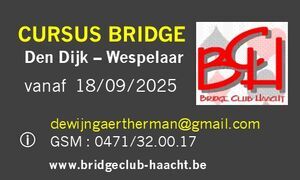 Initiatiecursus bridge