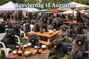 Bouvierdag 2027