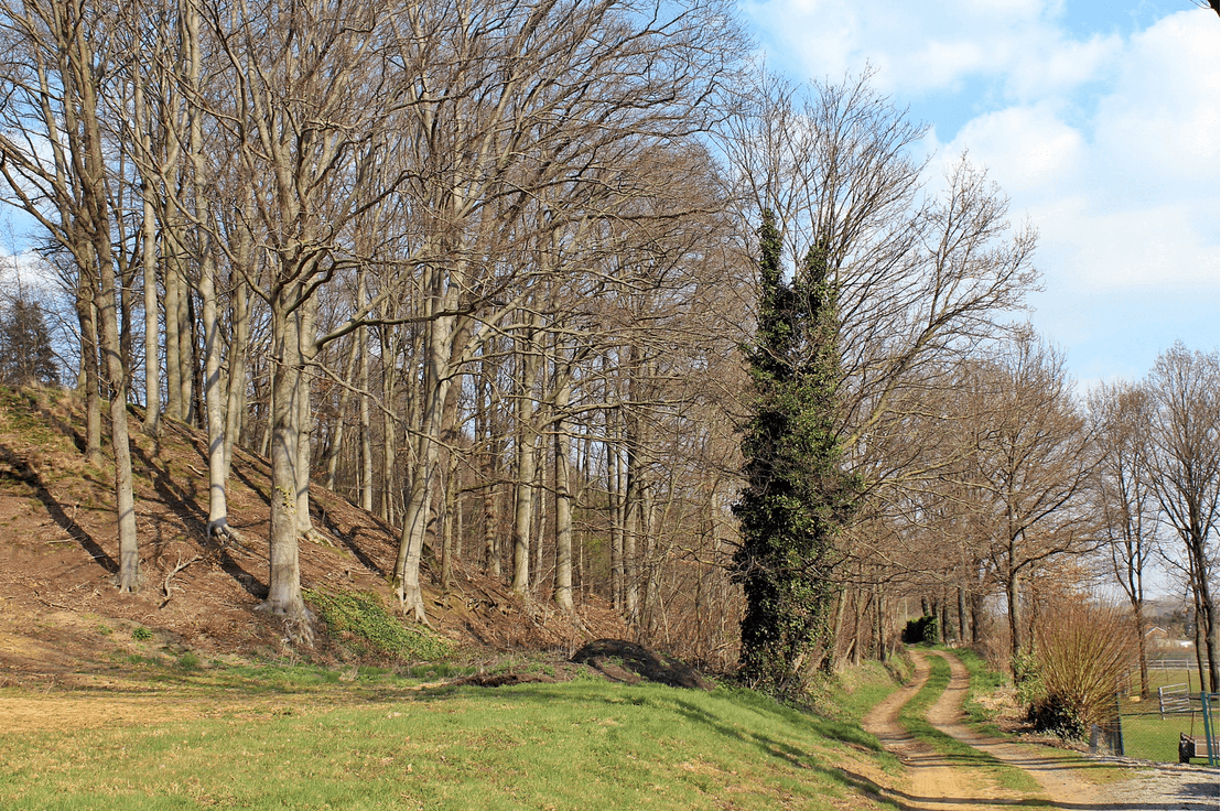 8ste Streekwandeling Hagelandgidsen 2026: Rillaar