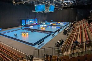 Wereldkampioenschap tafeltennis voor spelers met Parkinson in Helsingborg Zweden