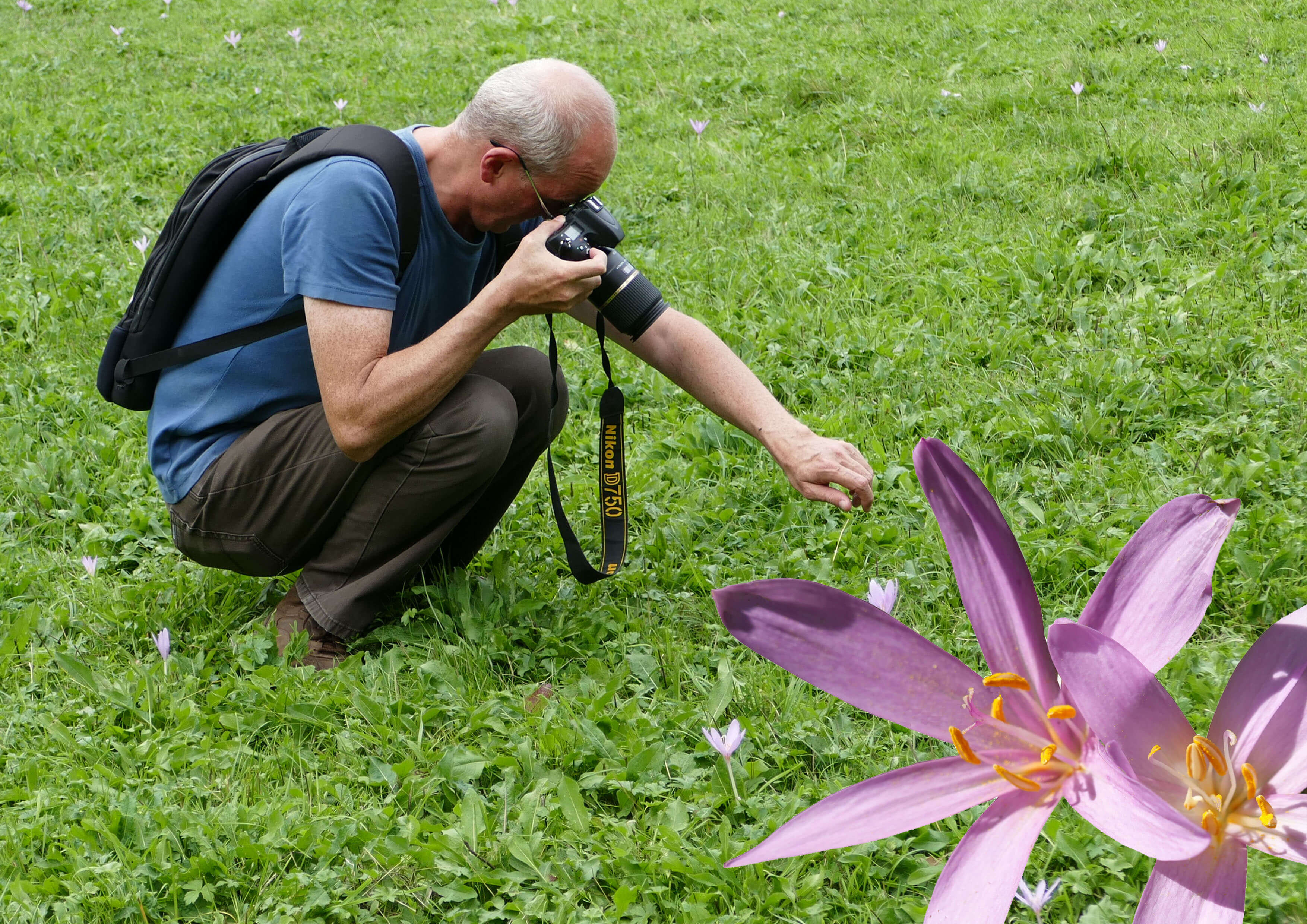 Herfsttijlooswandeling