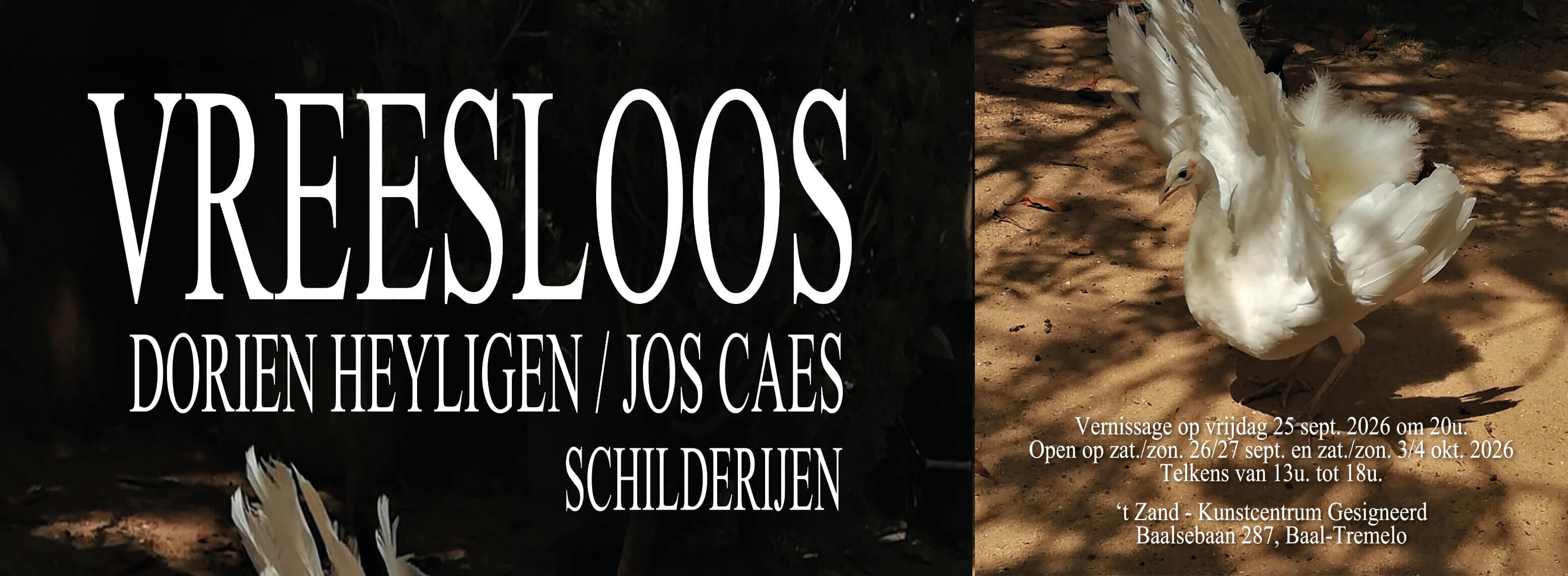 expo "Vreesloos" door Dorien Heyligen en Jos Caes