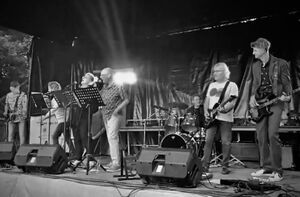 Festival van de verloren onschuld met De Tuinwijk Allstar Band