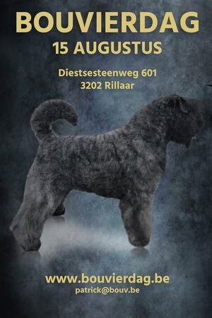 Bouvierdag