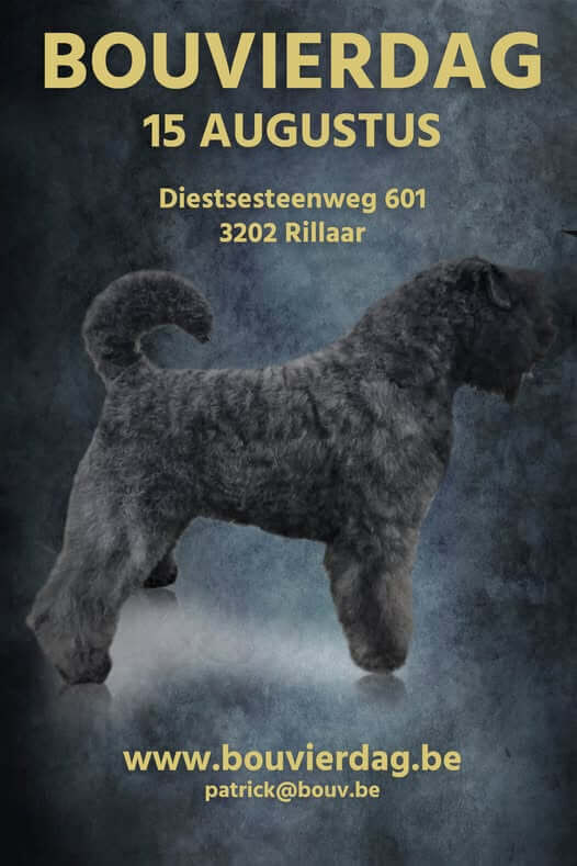 Bouvierdag 2027