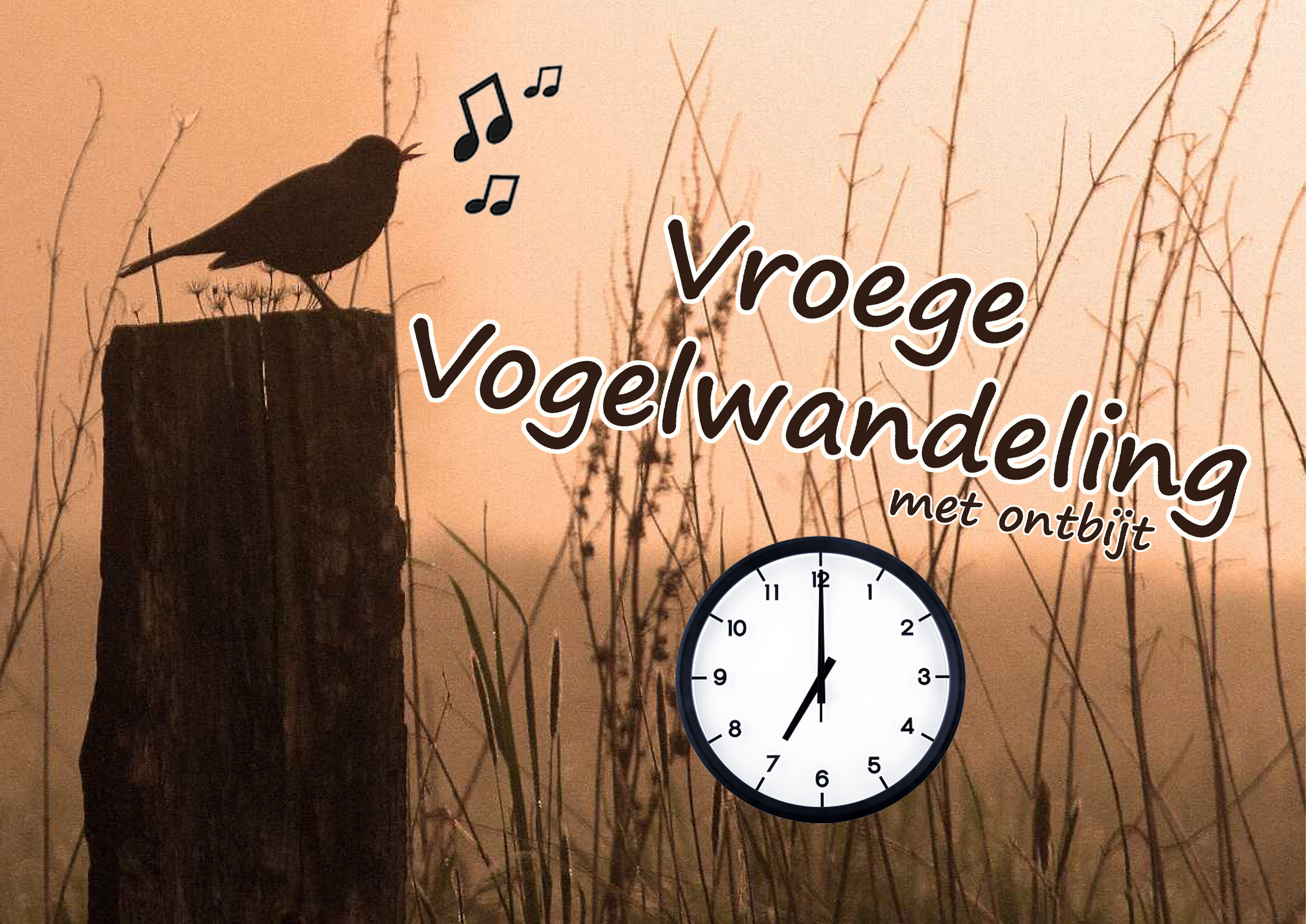 Vroege vogelwandeling met ontbijt
