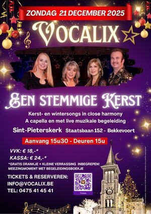 Vocalix - Een stemmige kerst