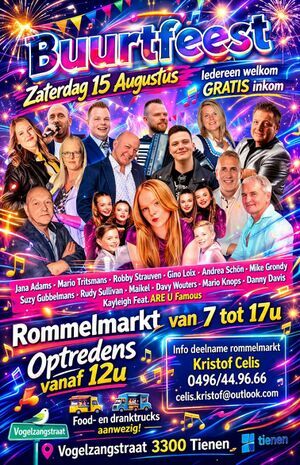 rommelmarkt / buurtfeest