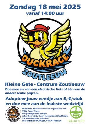 DuckRace Zoutleeuw