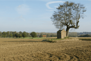 2de Streekwandeling 2026 Hagelandgidsen: Kortrijk-Dutsel