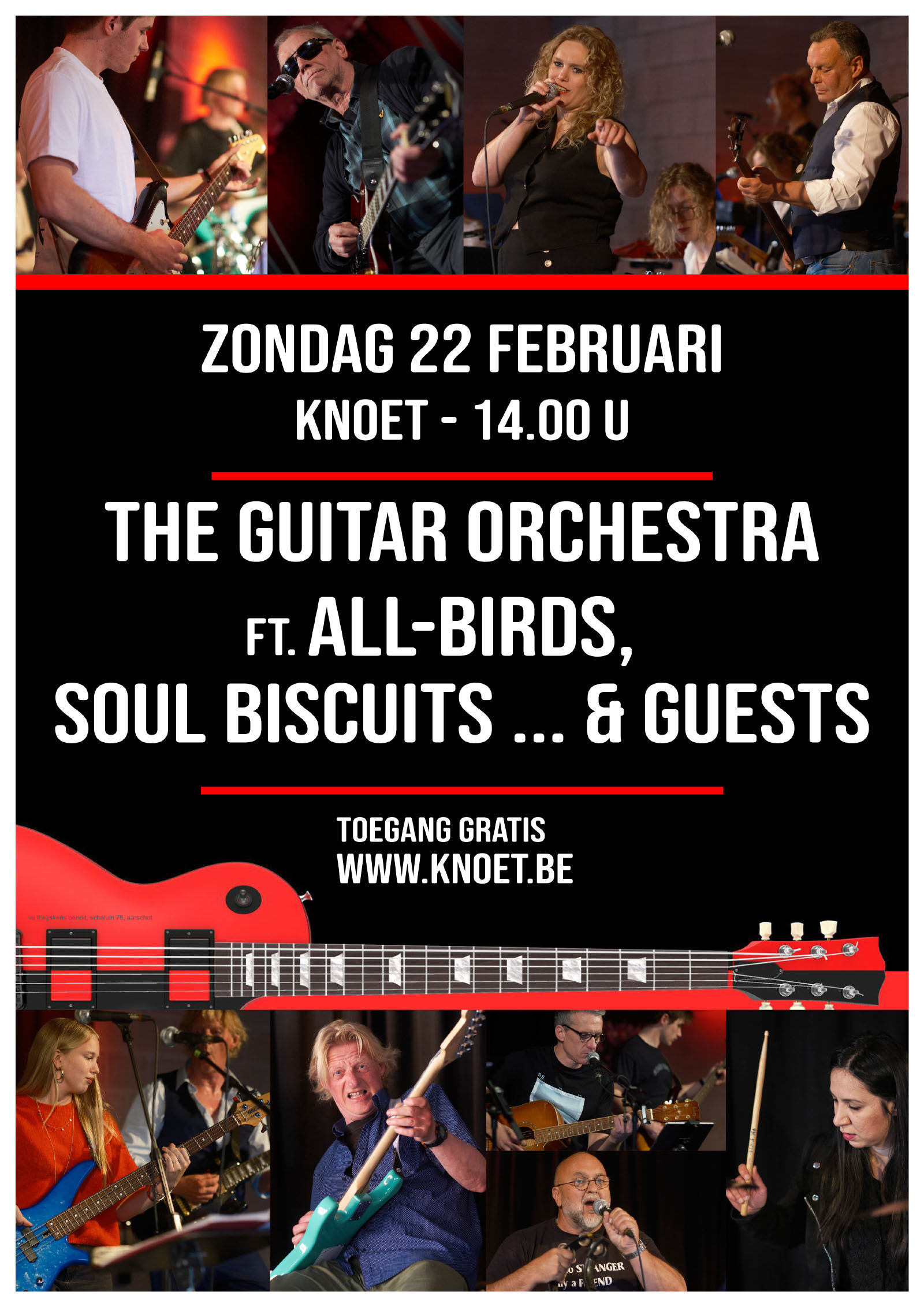 The Guitar Orchestra