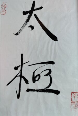 Stilte in Beweging: Tai-Chi concert